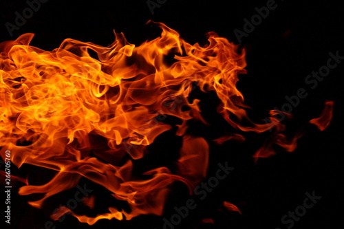 Abstract background of bush wild camping fire