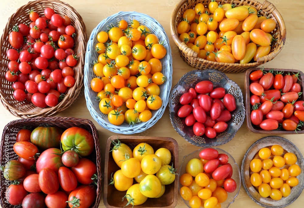 Tomatoes. Tomatoes.