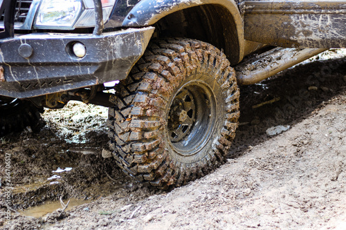 Wheels in the marsh. Offroad on Jeep in the Carpathian Mountains