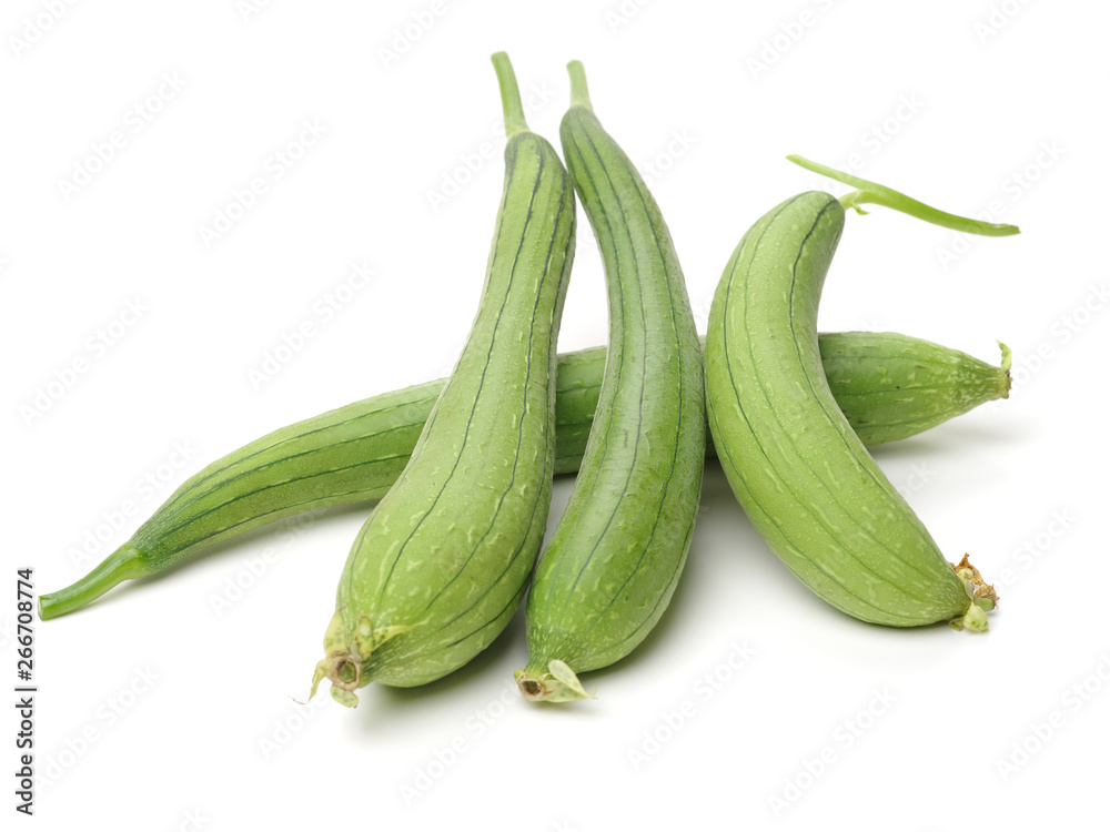 fresh loofah on the white background fresh loofah on the white background