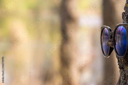 Glasses on the tree for text