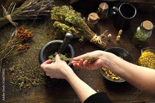 Alternative medicine, natural herbal methods of treatment © Robert Przybysz