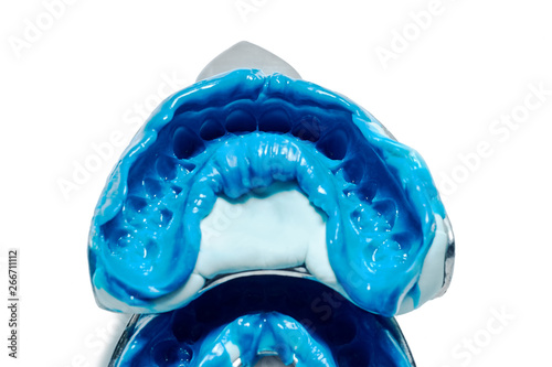 Wallpaper Mural Two dental impressions on a white background with copy space. Torontodigital.ca