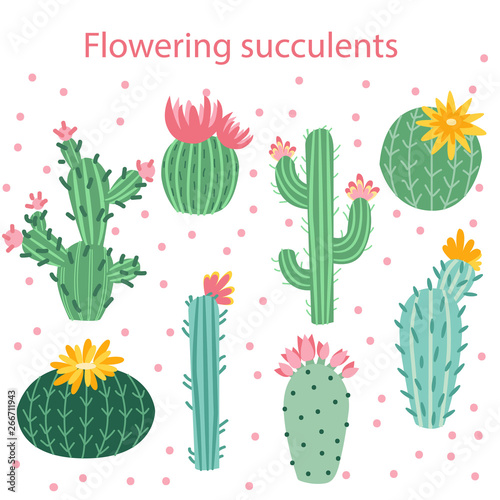 Cactus flower. Bright cacti, aloe leaves, exotic cactuses plants succulent summer desert tropical flora cartoon, botanical vector collection
