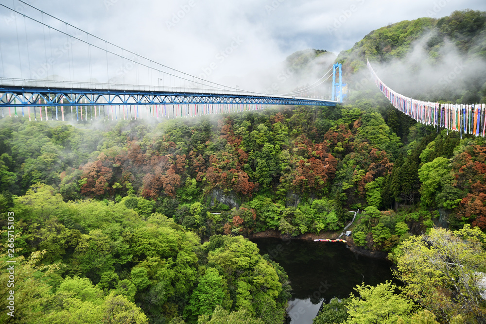 Fototapeta premium 雨上がりの竜神大吊橋