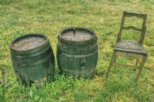 Dwie stare drewniane beczki i krzesło w ogrodzie winiarza