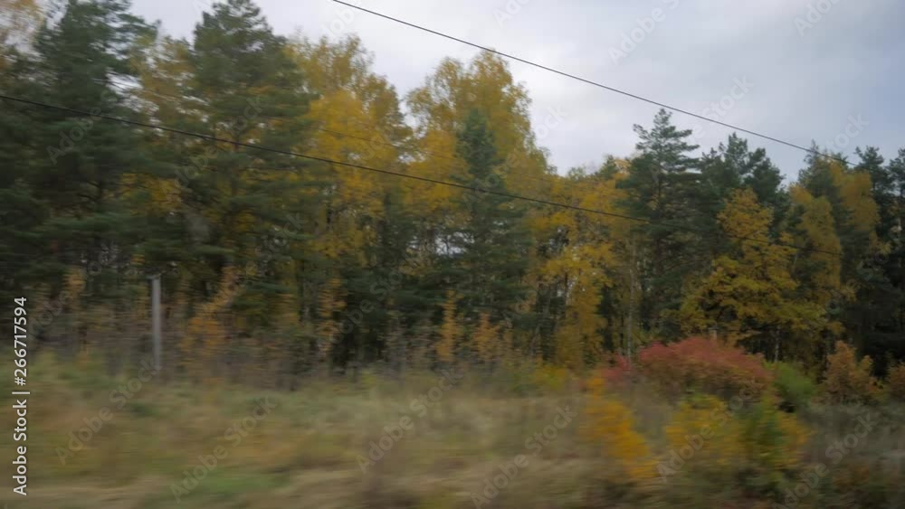View from train window of beautiful autumn scenery with bright yellow and green trees View from train window of beautiful autumn scenery with bright yellow and green trees