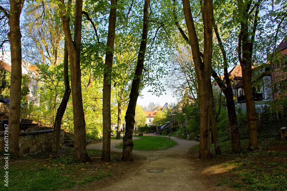 beautiful colors of nature in the spring Park beautiful colors of nature in the spring Park