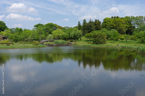 Fototapeta Naklejka Na Ścianę i Meble -  公園の池