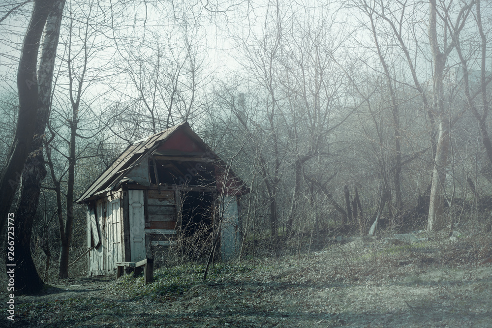 Old wooden hut ruins in foggy wood, spooky landscape Old wooden hut ruins in foggy wood, spooky landscape