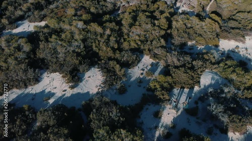 Wallpaper Mural Aerial view of people walking in winter forest near the green coniferous trees in sunny winter day. Action. Winter resort Torontodigital.ca