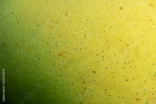 texture of mango