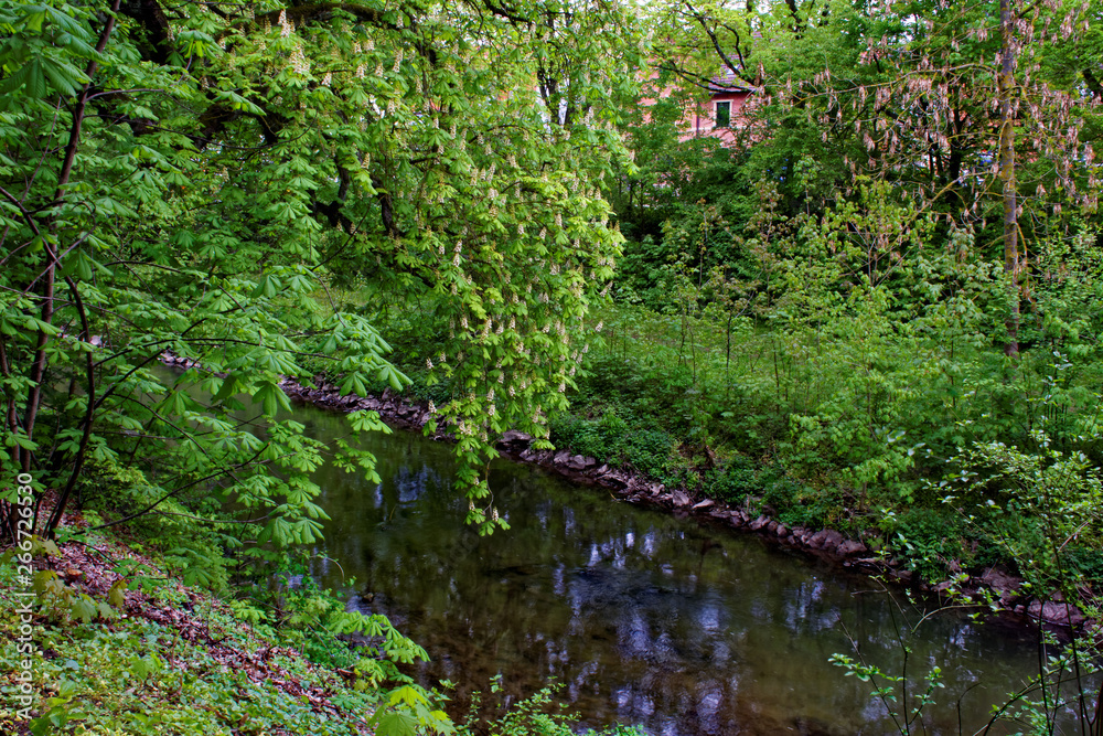 beautiful colors of nature in the spring Park beautiful colors of nature in the spring Park