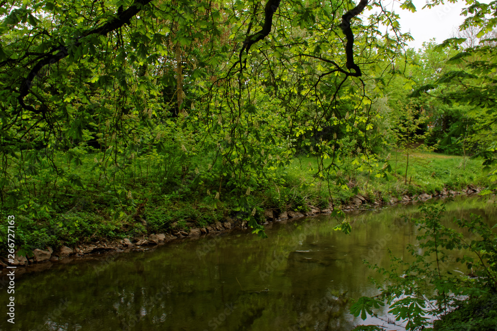 beautiful colors of nature in the spring Park beautiful colors of nature in the spring Park