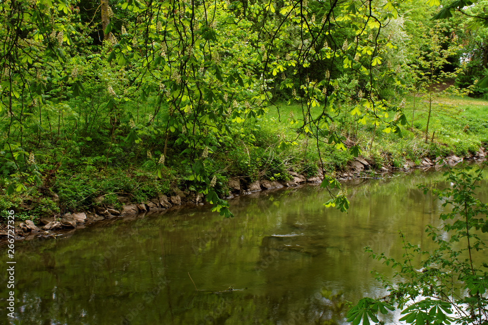 beautiful colors of nature in the spring Park beautiful colors of nature in the spring Park