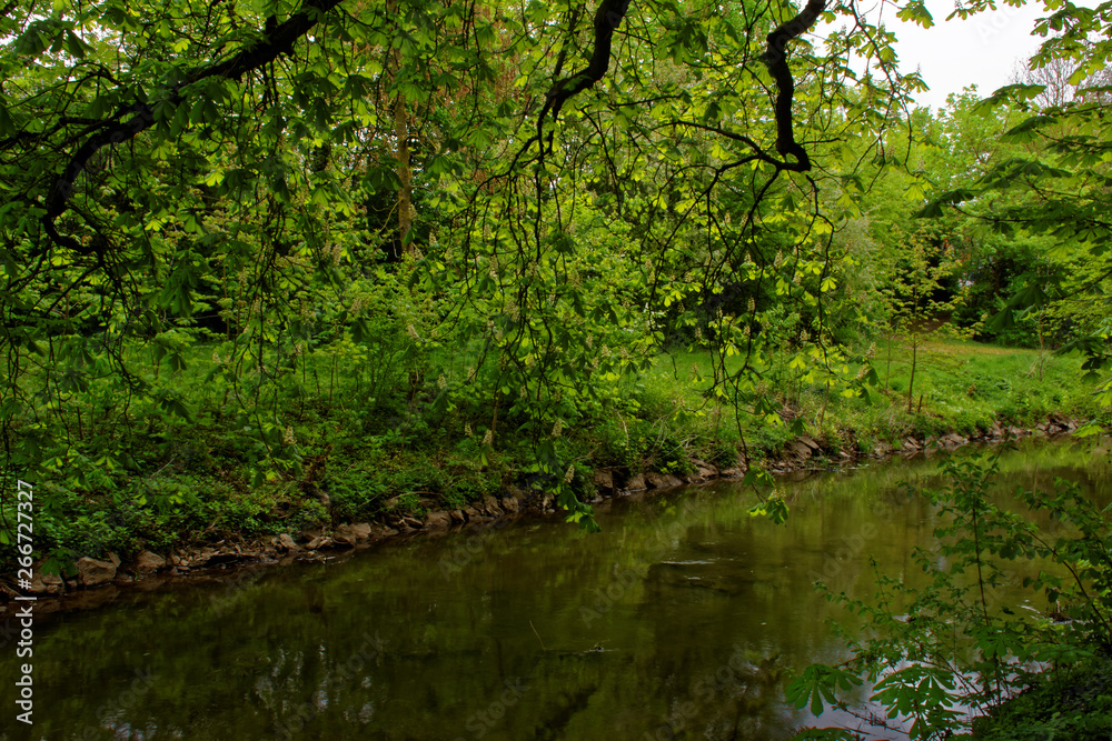 beautiful colors of nature in the spring Park