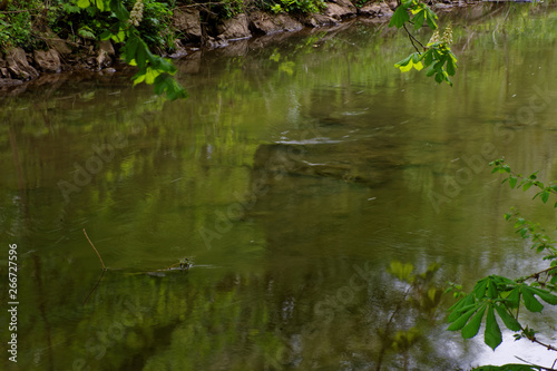 beautiful colors of nature in the spring Park