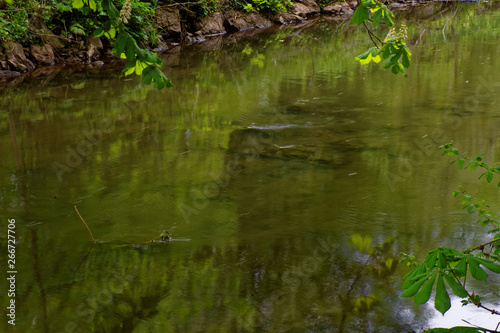 beautiful colors of nature in the spring Park