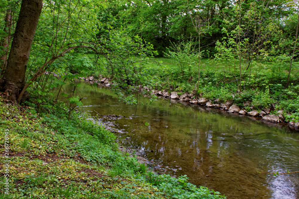 beautiful colors of nature in the spring Park beautiful colors of nature in the spring Park