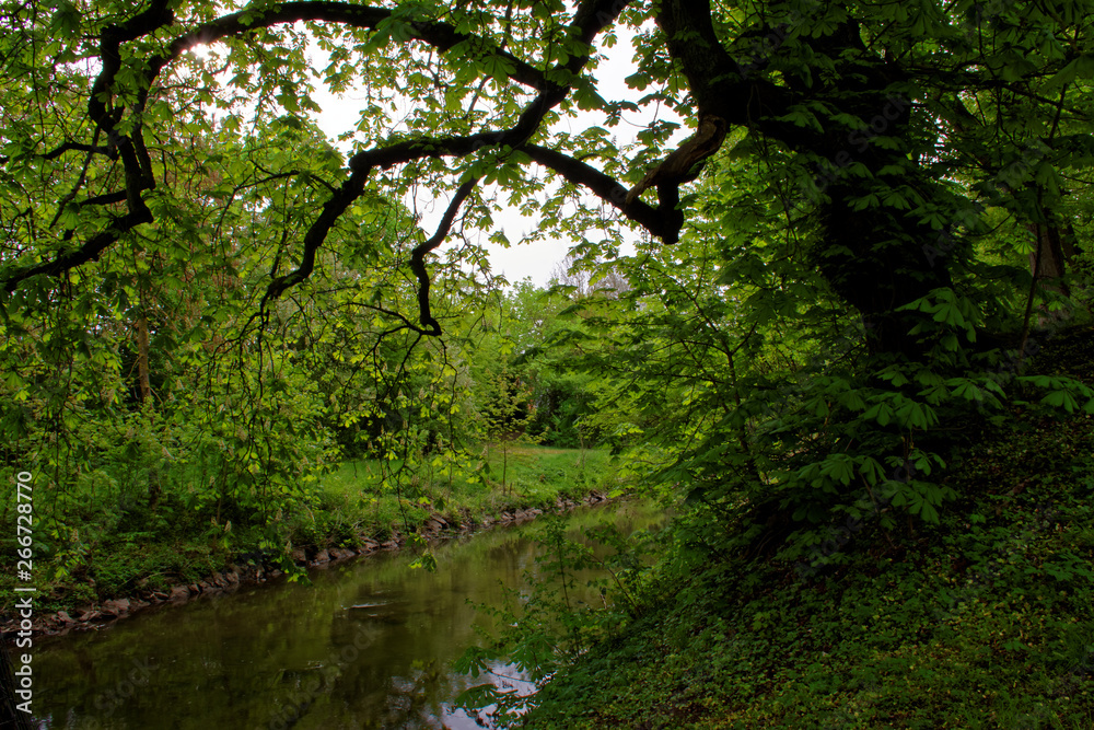 beautiful colors of nature in the spring Park beautiful colors of nature in the spring Park