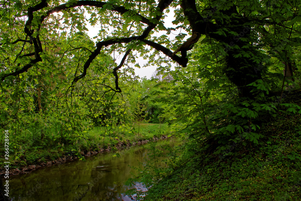 beautiful colors of nature in the spring Park beautiful colors of nature in the spring Park