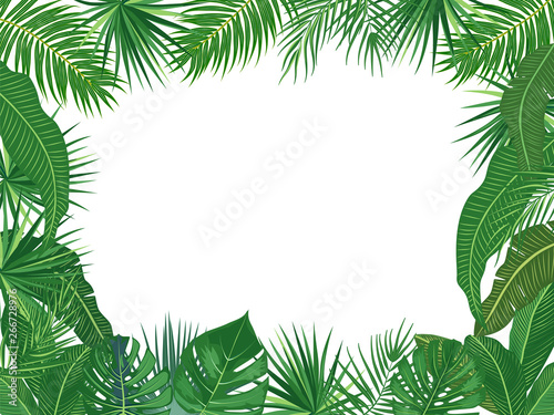 Vector tropical jungle frame with palm trees and leaves on white background