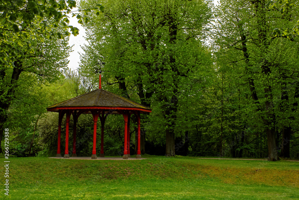 beautiful colors of nature in the spring Park beautiful colors of nature in the spring Park