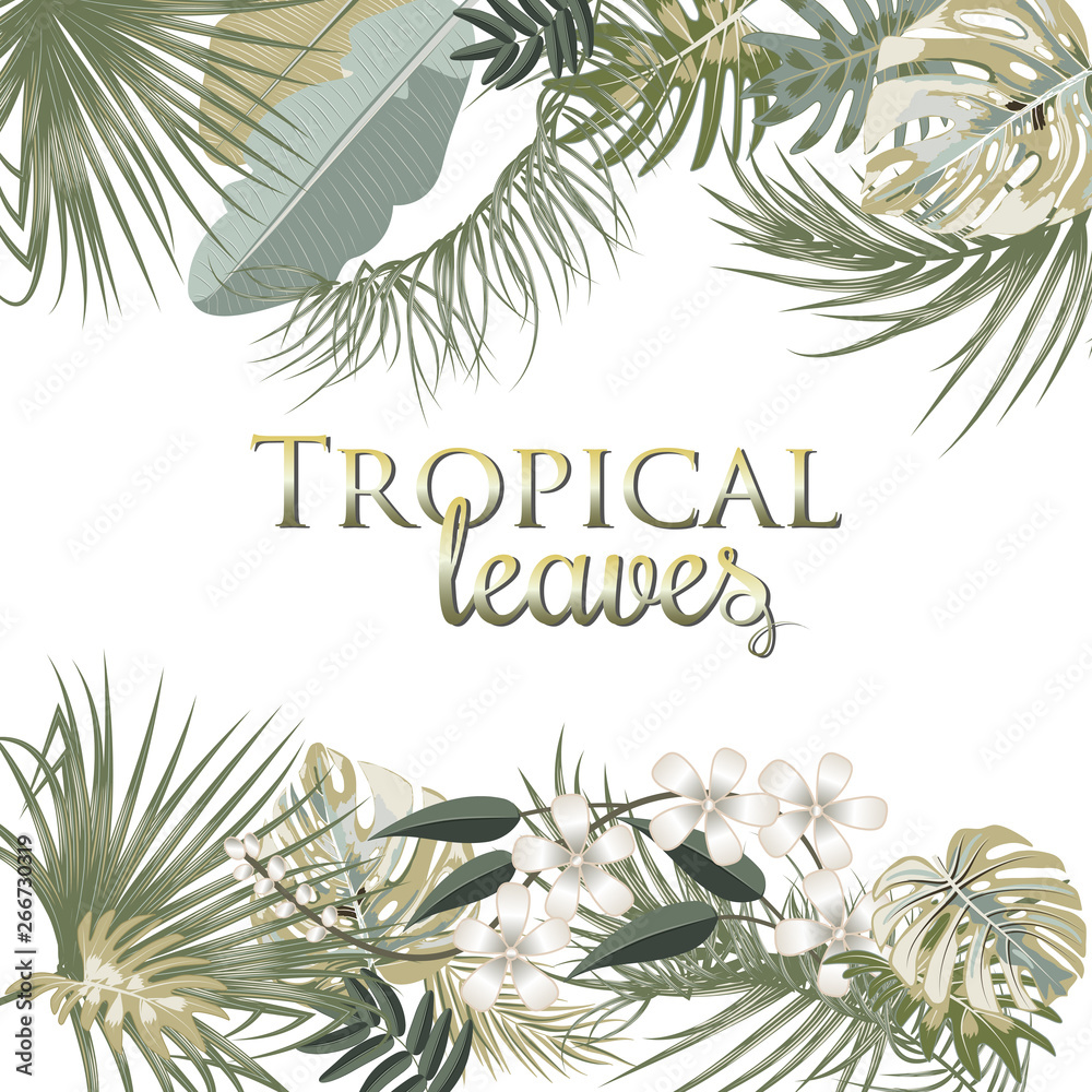 Vector tropical jungle frame with palm trees and leaves in olive green colors on white background