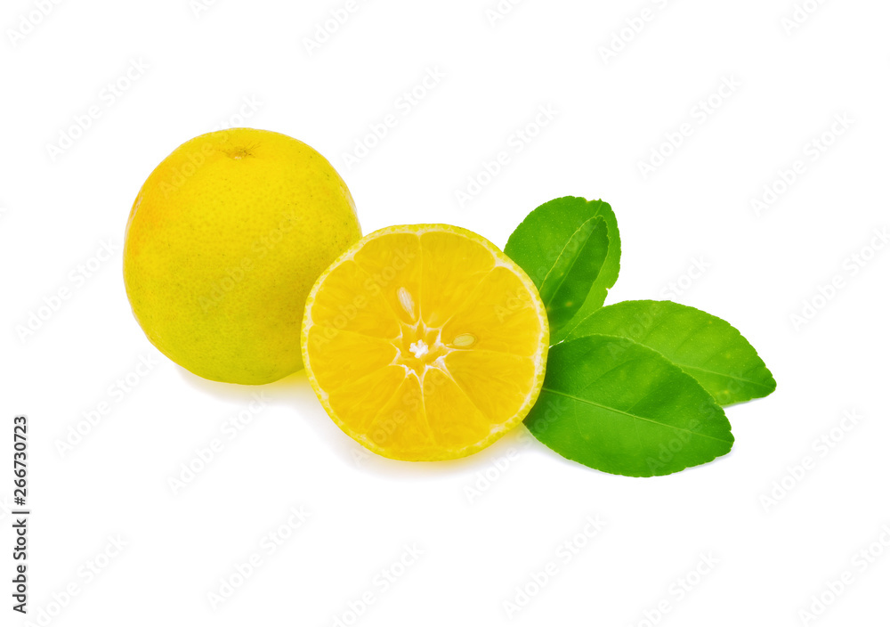 lemon isolated on white background lemon isolated on white background