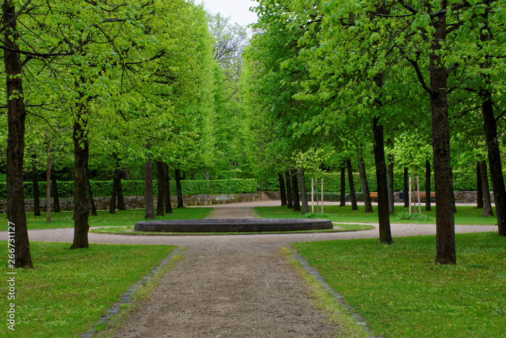 beautiful colors of nature in the spring Park