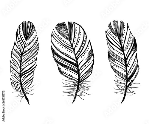 Hand drawn feathers on white background