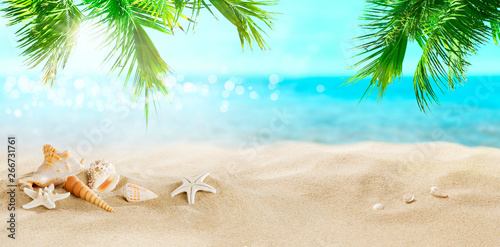 Seashells in the sand. Coconut palms on a tropical beach. 