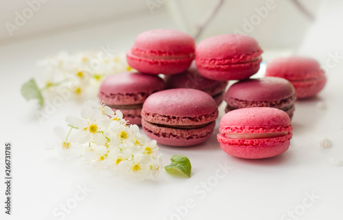 small macaroon cakes (pink and purple) lie on a white background, decorated with natural white flowers; side view