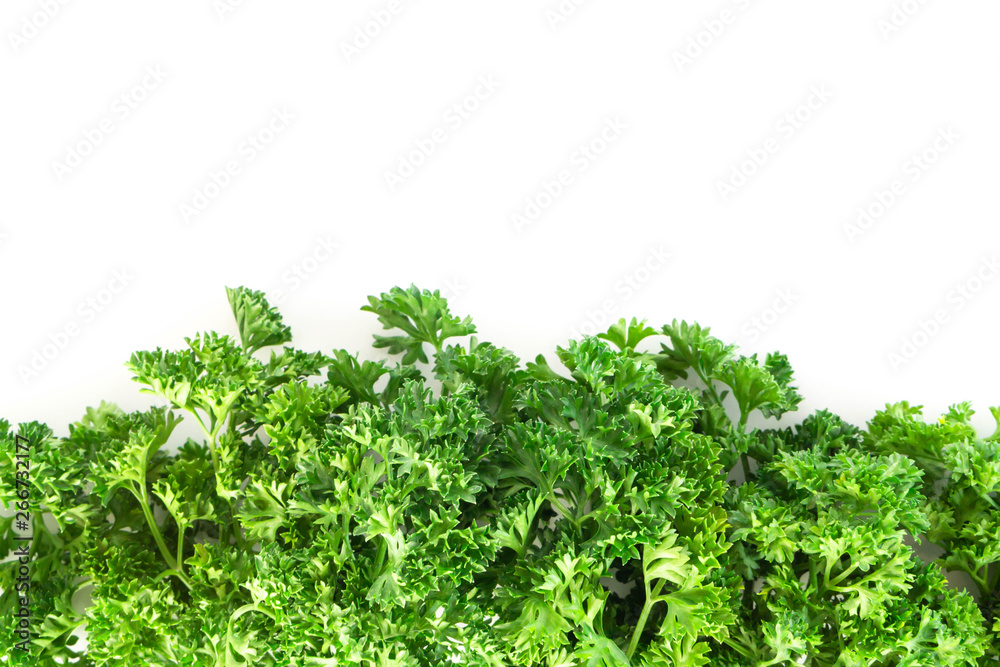 Parsley vegetable isolated on white background Parsley vegetable isolated on white background