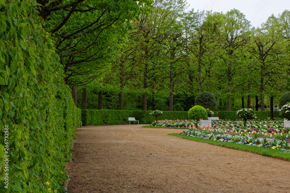 Fototapeta premium beautiful colors of nature in the spring Park