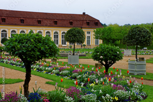 beautiful colors of nature in the spring Park