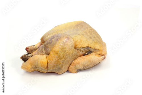 poulet photo