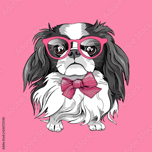 Japanese Chin dog in a glasses and tie on a pink background. Vector illustration. © Afishka