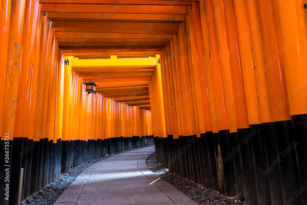 Fototapeta premium Landmark of Kyoto, Torii gates of Fushimi Inari Shrine in Kyoto, Japan