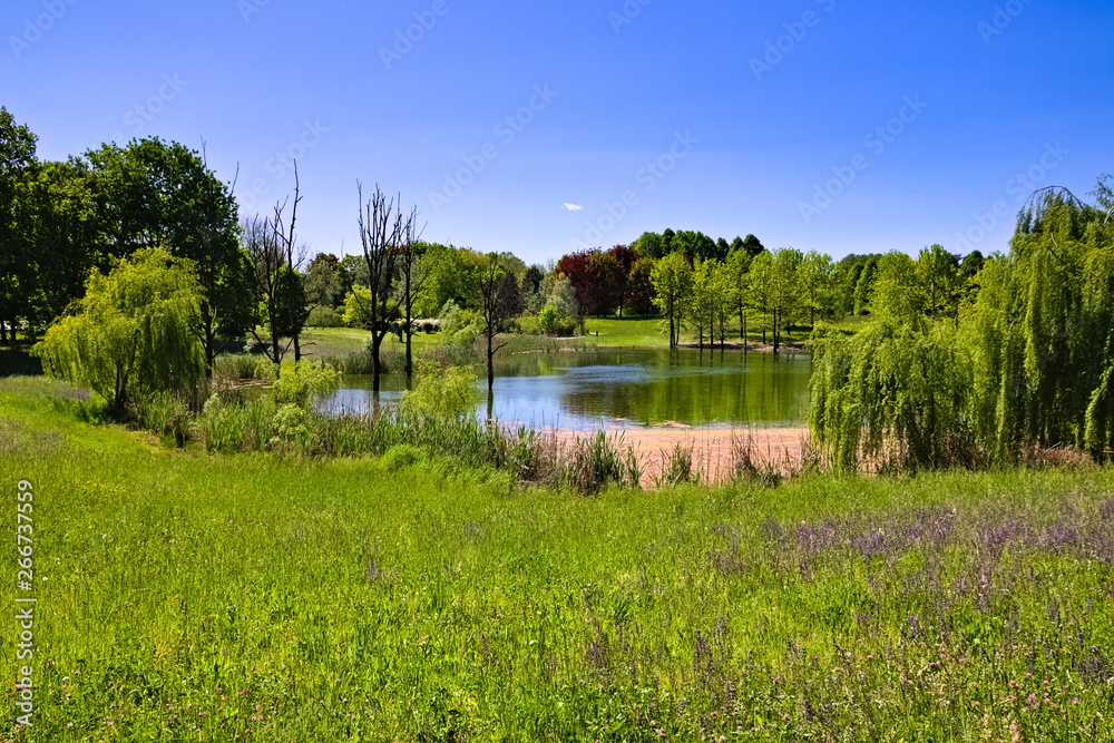 Bright sunny spring morning near the lakes and ponds in Pellerina Park, Turin, Piedmont, Italy