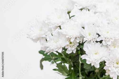 Bouquet of white flowers Chrysanthemums in vase on white background