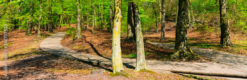 panorama. hiking path  in Park Sonsbeek, in Arnhem, The Netherlands  photo