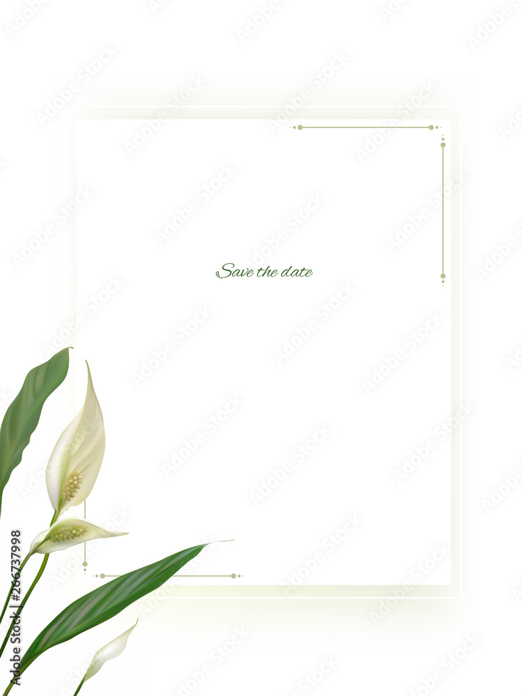 Fototapeta premium Flowers. Floral background. White flowers. Green leaves.