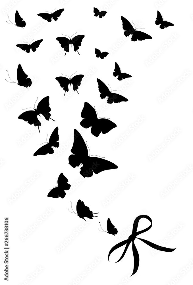 black butterfly, isolated on a white black butterfly, isolated on a white
