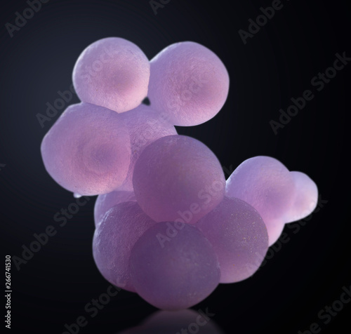 grape agate mineral rock gem stone quartz  geology specimen