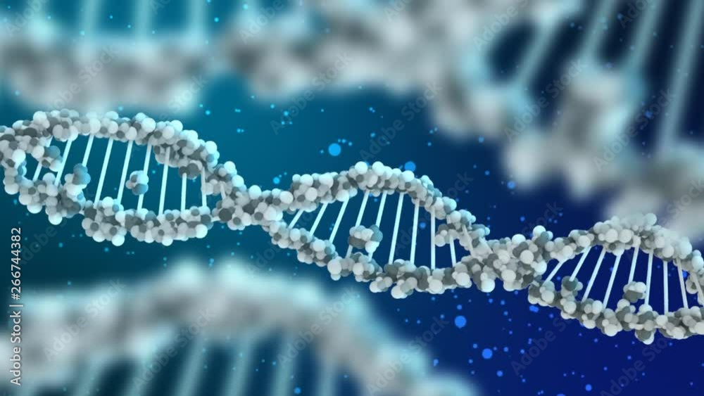 3d dna molecules rotate slowly 3d dna molecules rotate slowly