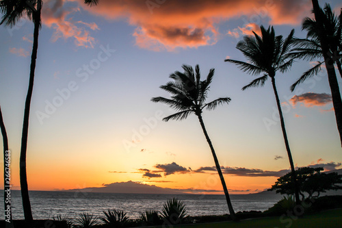 Sonnenuntergang mit Palmen, glühenden Wolken
