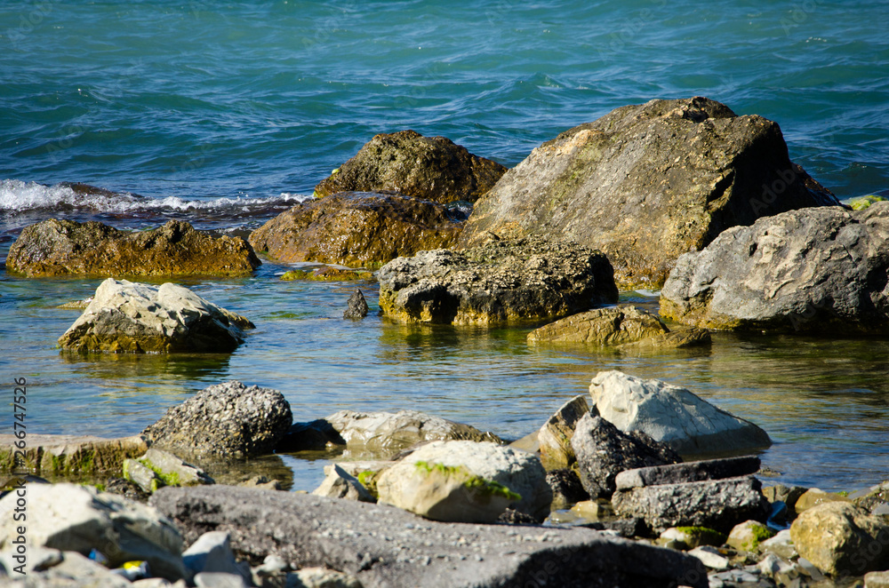 rocks in the sea
