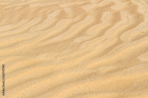Sahara sand background. Close up. Amazing wave pattern send dune near El Oued, Algeria, North Africa, Sahara
