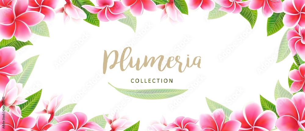 Wedding invitation card floral plumeria frame and lettering postcard template Wedding invitation card floral plumeria frame and lettering postcard template